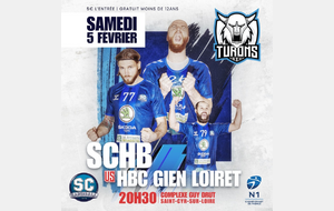 Samedi 5 février à 20H30 - Les Turons HB face à Gien