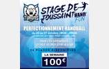 Stage Toussaint 2023 - Hand Fun semaine 1