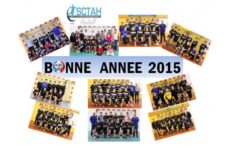 Bonne Année 2015
