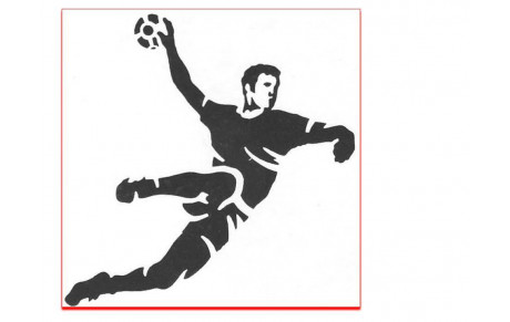 Bilan Sportif de la Saison 2014-2015